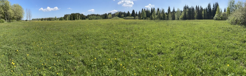 23-05-27 11-28-03 5727.jpg